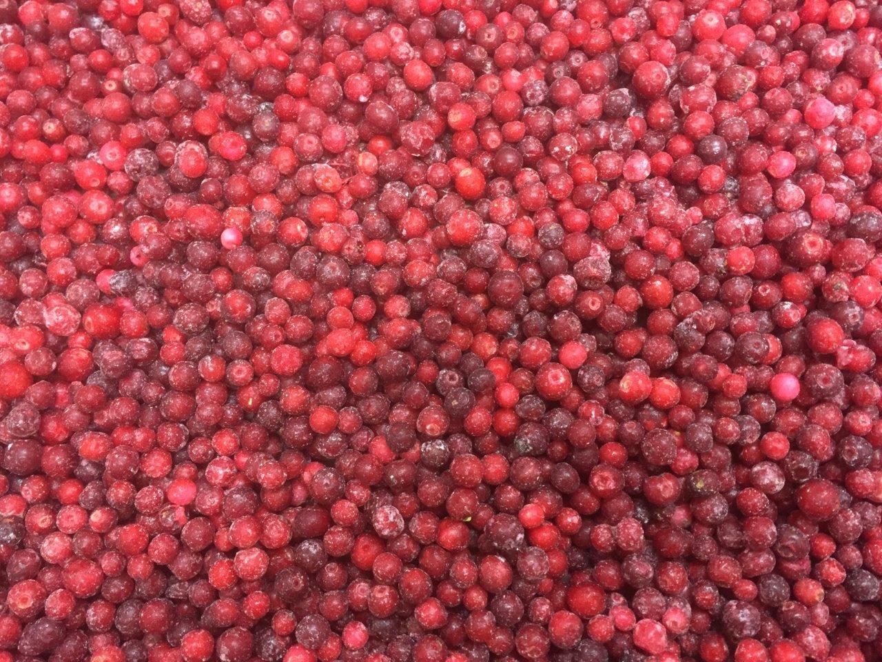 Frozen Wild Swedish Lingonberries